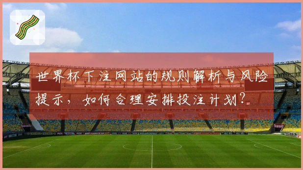 世界杯下注网站的规则解析与风险提示，如何合理安排投注计划？