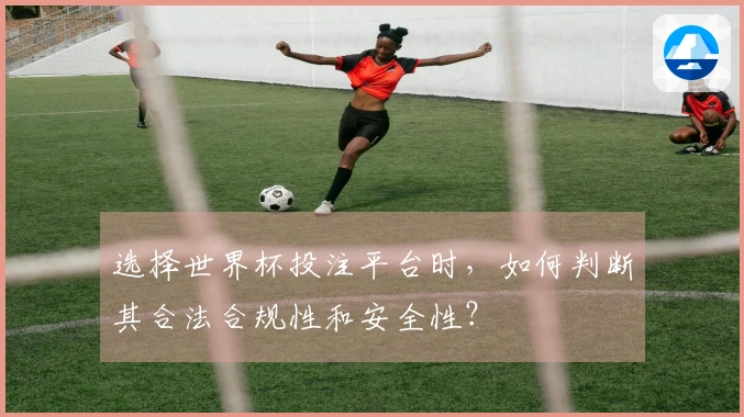 选择世界杯投注平台时，如何判断其合法合规性和安全性？
