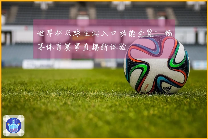 世界杯买球主站入口功能全览：畅享体育赛事直播新体验