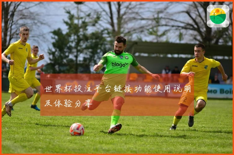 世界杯投注平台链接功能使用说明及体验分享