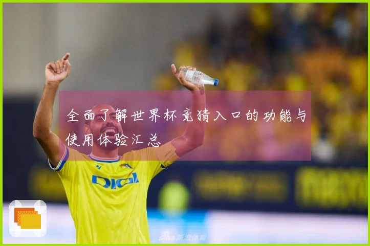 全面了解世界杯竞猜入口的功能与使用体验汇总