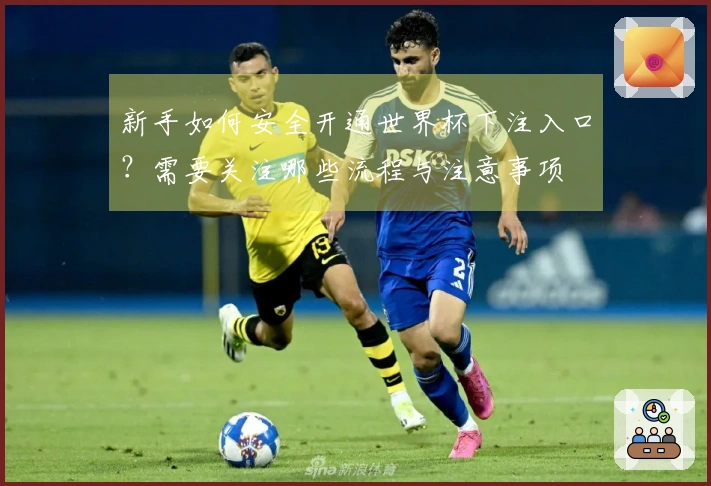 新手如何安全开通世界杯下注入口？需要关注哪些流程与注意事项