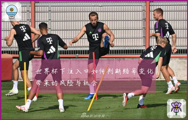 世界杯下注入口如何判断赔率变化带来的风险与机会