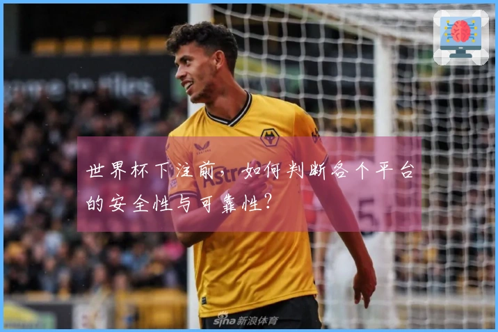 世界杯下注前，如何判断各个平台的安全性与可靠性？