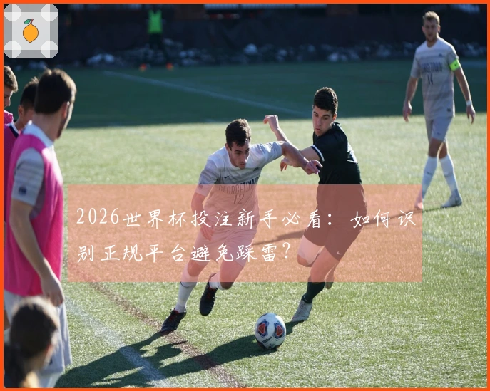 2026世界杯投注新手必看：如何识别正规平台避免踩雷？