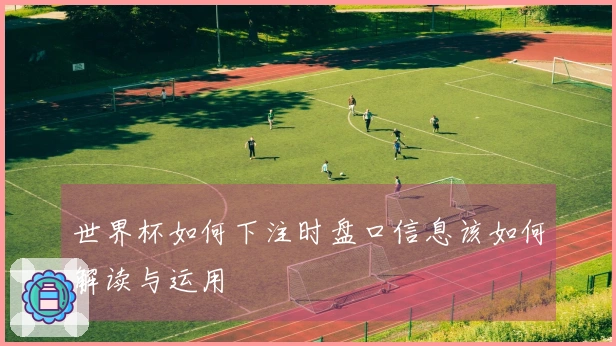 世界杯如何下注时盘口信息该如何解读与运用