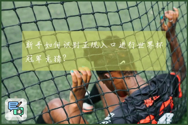 新手如何识别正规入口进行世界杯冠军竞猜？