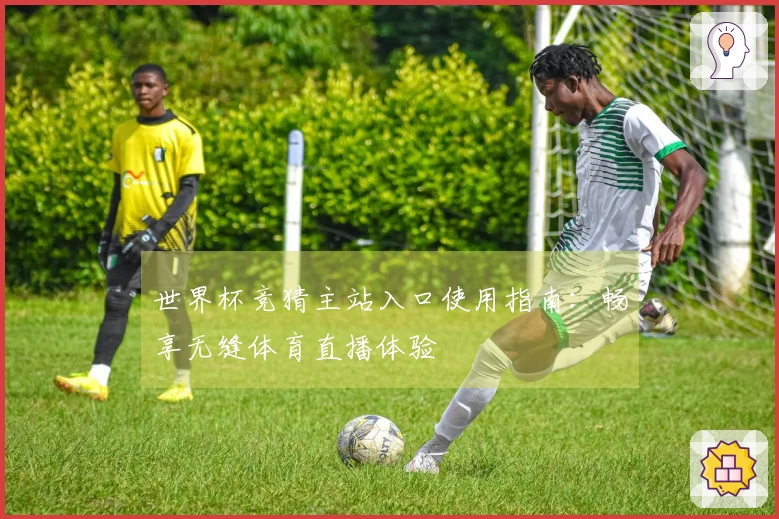 世界杯竞猜主站入口使用指南：畅享无缝体育直播体验