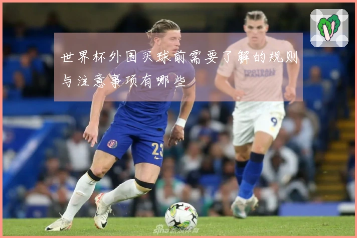 世界杯外围买球前需要了解的规则与注意事项有哪些