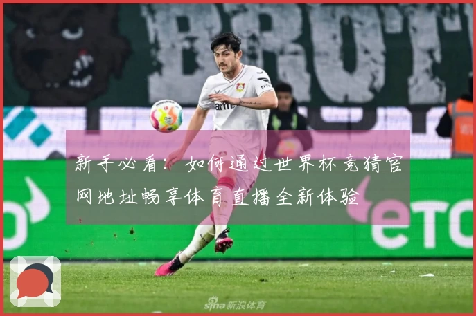 新手必看：如何通过世界杯竞猜官网地址畅享体育直播全新体验