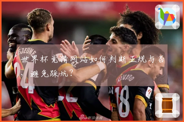 世界杯竞猜网站如何判断正规与否，避免踩坑？