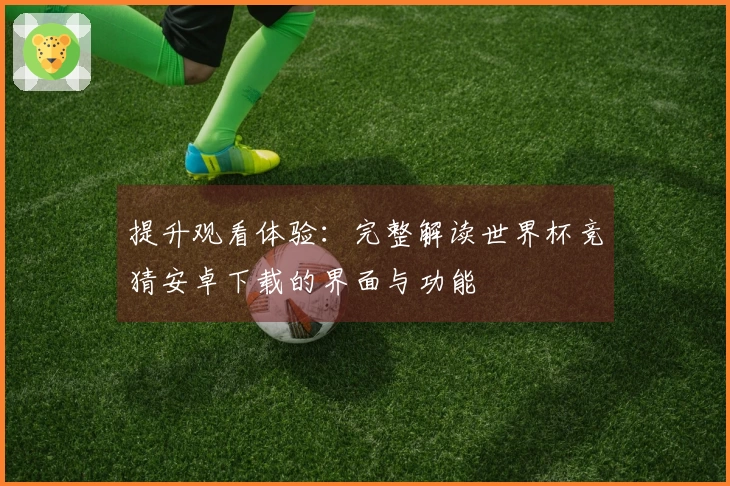 提升观看体验：完整解读世界杯竞猜安卓下载的界面与功能