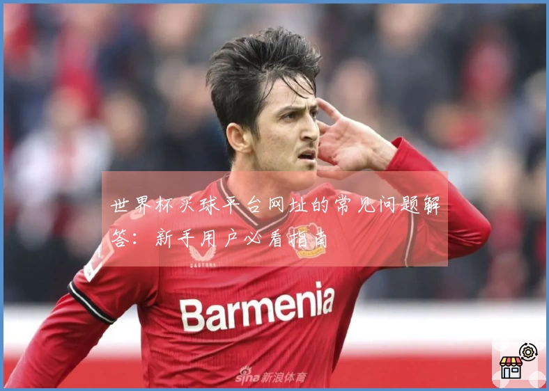 世界杯买球平台网址的常见问题解答：新手用户必看指南