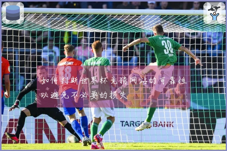 如何判断世界杯竞猜网站的可靠性以避免不必要的损失