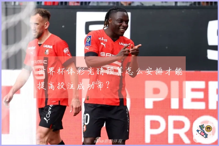 世界杯体彩竞猜预算怎么安排才能提高投注成功率？