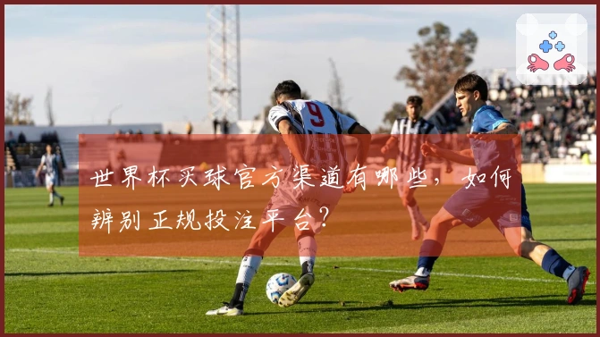世界杯买球官方渠道有哪些，如何辨别正规投注平台？