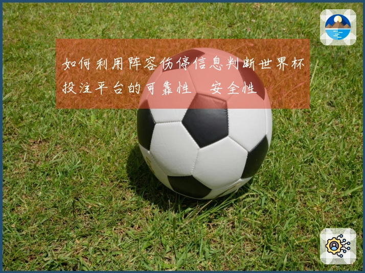 如何利用阵容伤停信息判断世界杯投注平台的可靠性與安全性