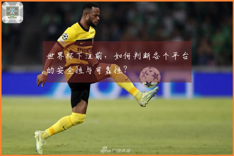 世界杯下注前，如何判断各个平台的安全性与可靠性？
