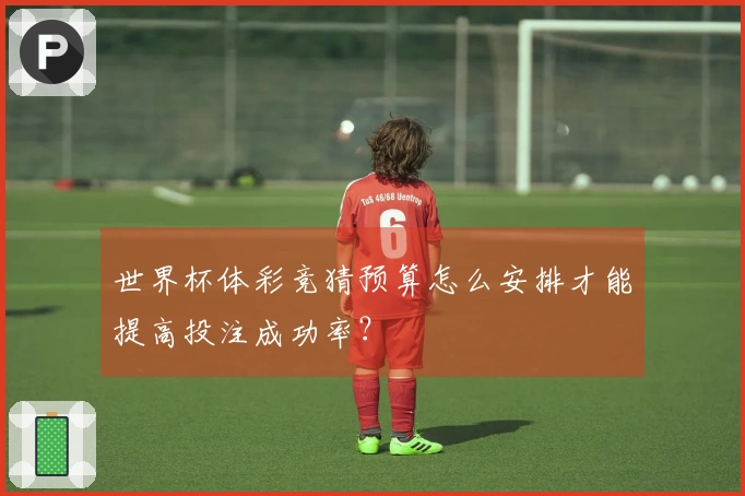 世界杯体彩竞猜预算怎么安排才能提高投注成功率？