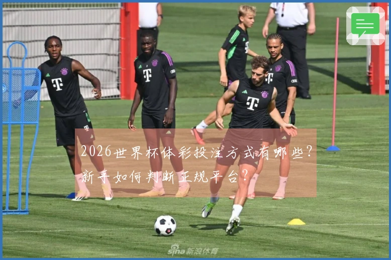 2026世界杯体彩投注方式有哪些？新手如何判断正规平台？