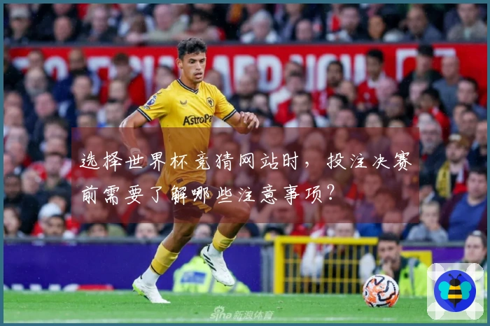 选择世界杯竞猜网站时，投注决赛前需要了解哪些注意事项？