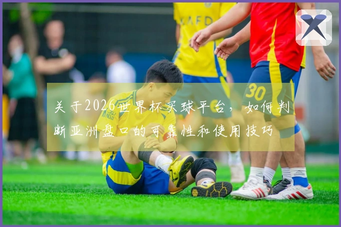 关于2026世界杯买球平台，如何判断亚洲盘口的可靠性和使用技巧