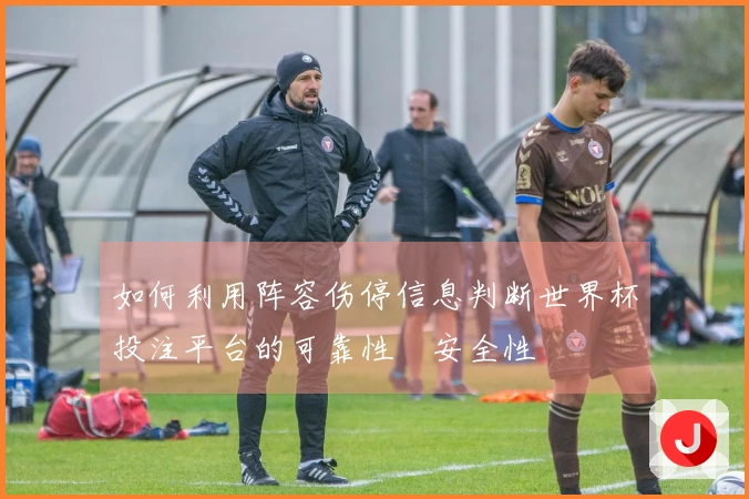 如何利用阵容伤停信息判断世界杯投注平台的可靠性與安全性