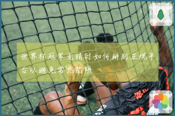 世界杯冠军竞猜时如何辨别正规平台以避免常见陷阱