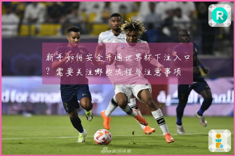 新手如何安全开通世界杯下注入口？需要关注哪些流程与注意事项