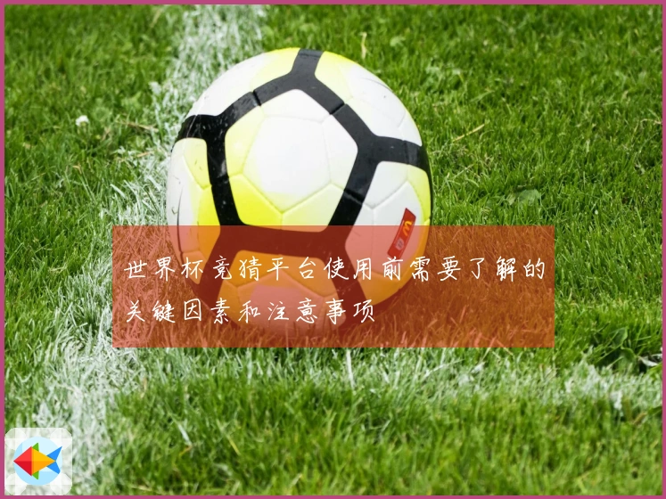 世界杯竞猜平台使用前需要了解的关键因素和注意事项