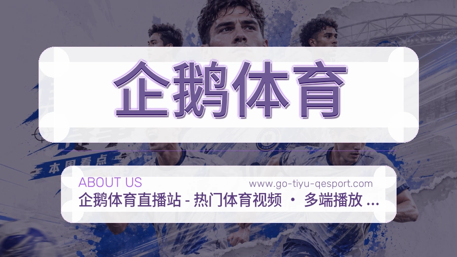 <strong>企鹅体育</strong>服务脉络介绍